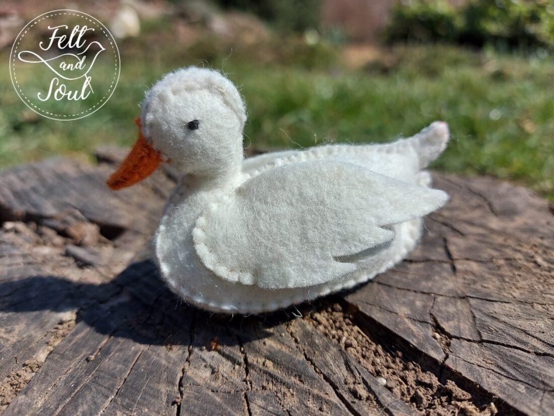 Házi kacsa - Image 2