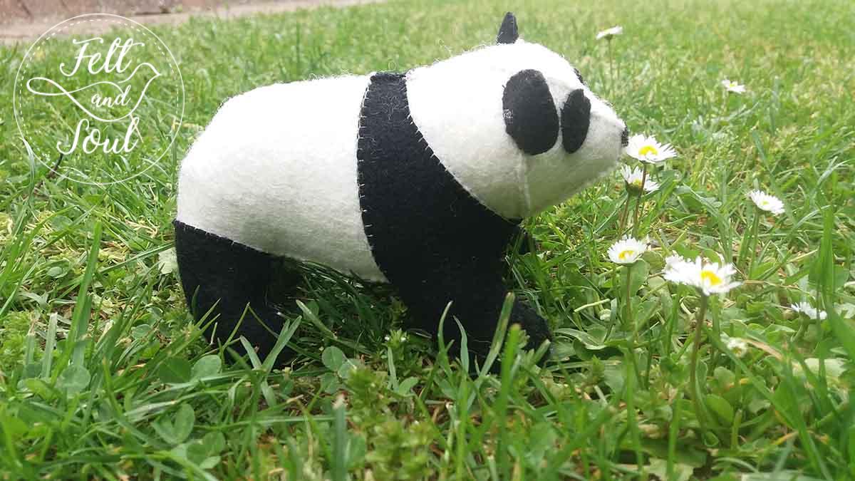 Panda - Image 4