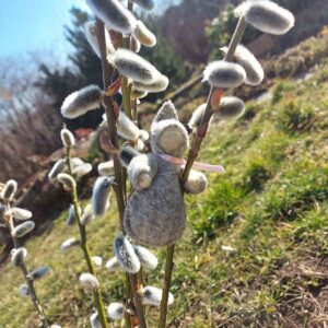 Felt and Soul Barka baba gyapjúfilc asztali báb