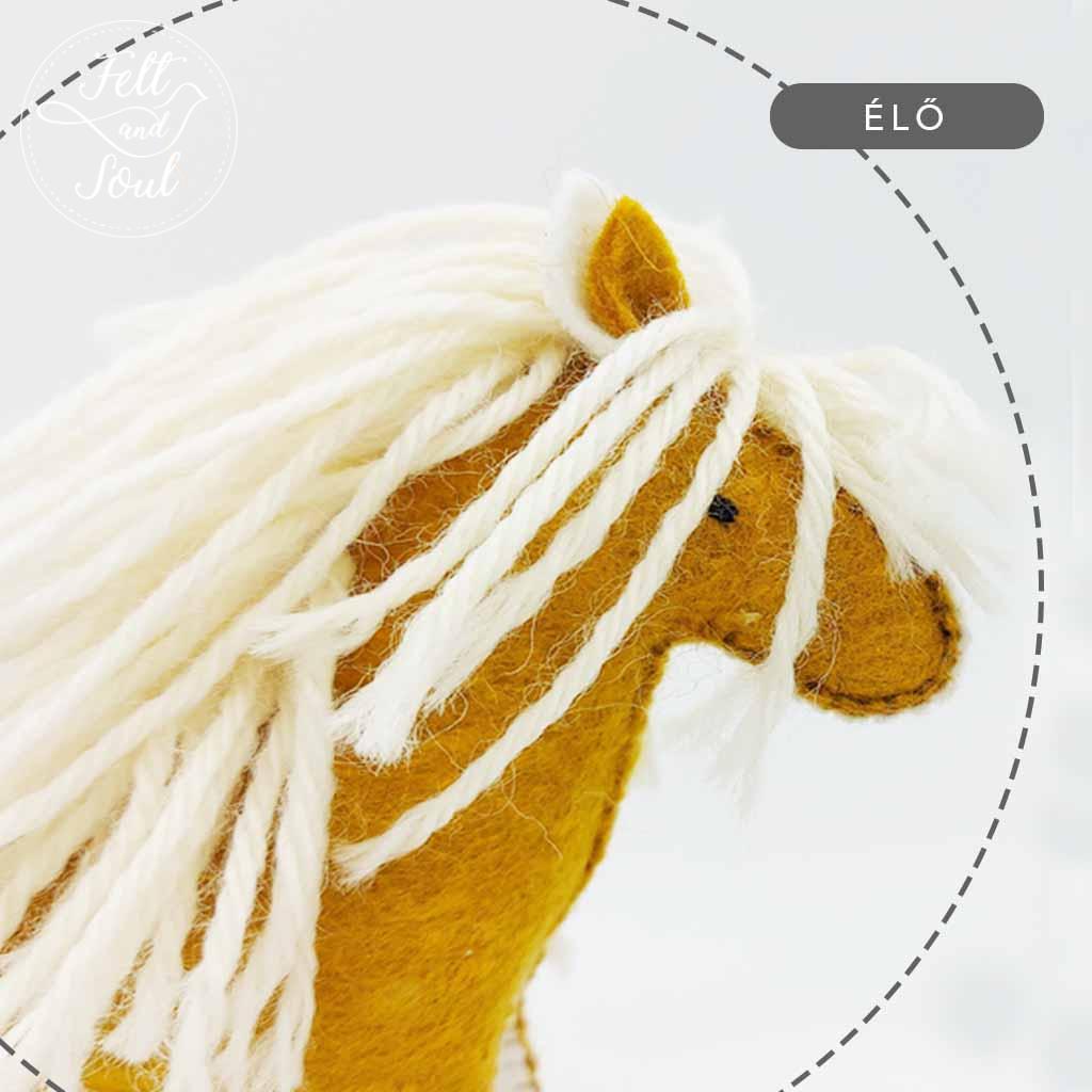 Filc figura varró tanfolyam, workshop