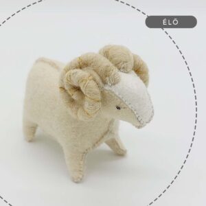 Kos filc figura varró tanfolyam, workshop