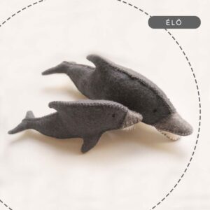 Filc figura varró tanfolyam, workshop