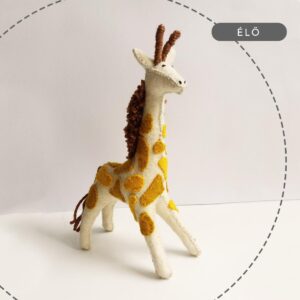 Filc figura varró tanfolyam, workshop