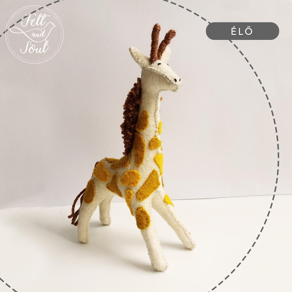 Filc figura varró tanfolyam, workshop