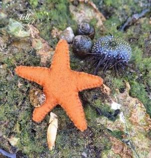 Felt and Soul tengeri csillag gyapjúfilcből