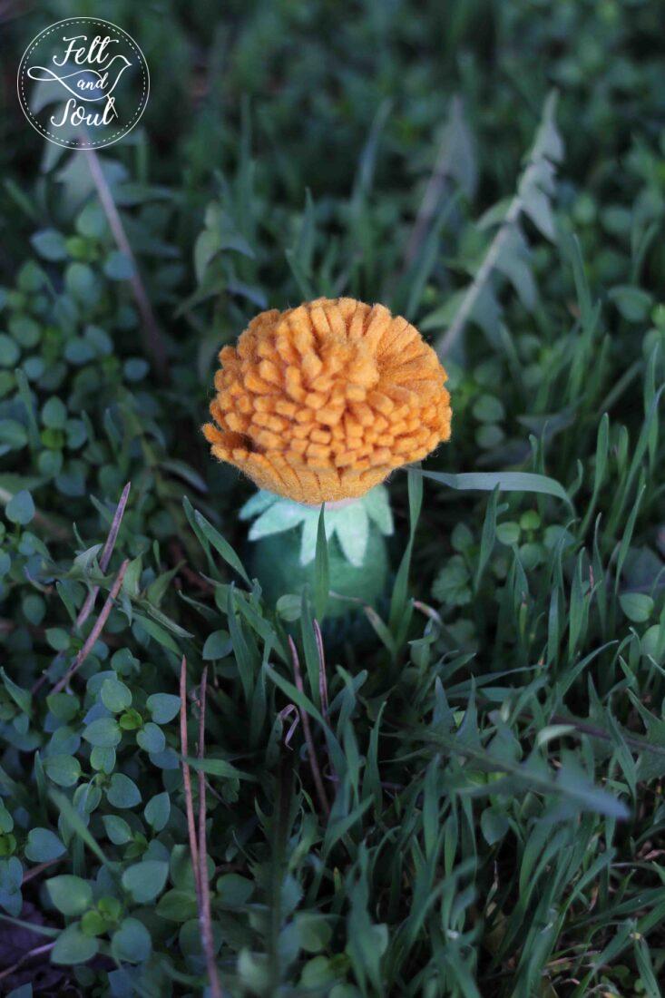 Felt and Soul pitypang gyapjúfilcből