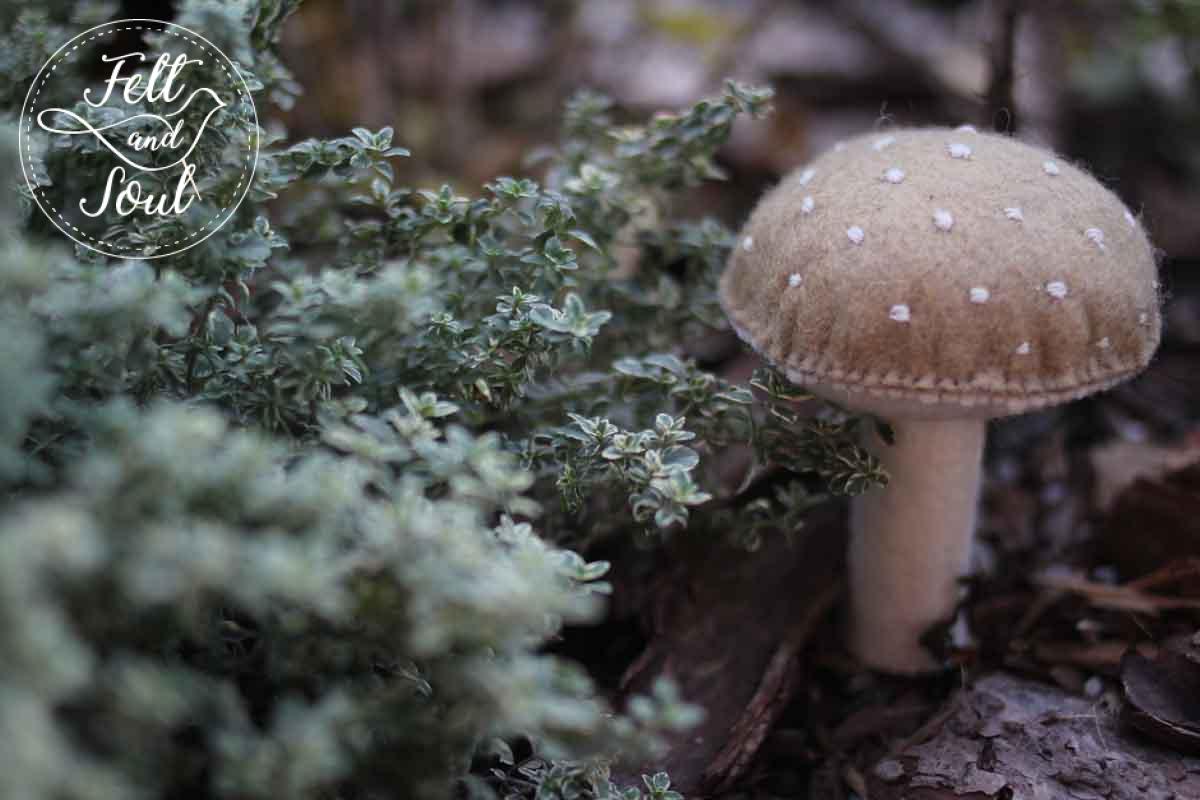 Felt and Soul gyapjúfilc gomba
