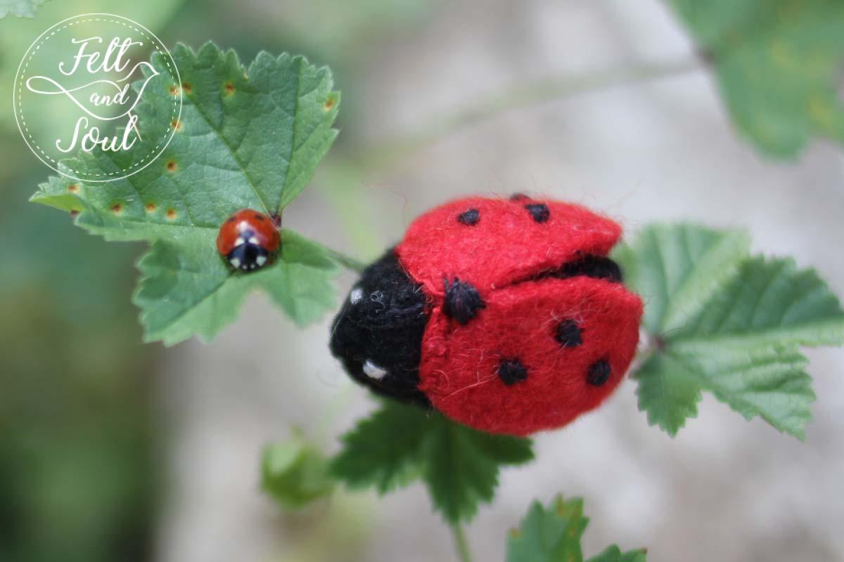 Bogarak workshop sorozat - Image 4